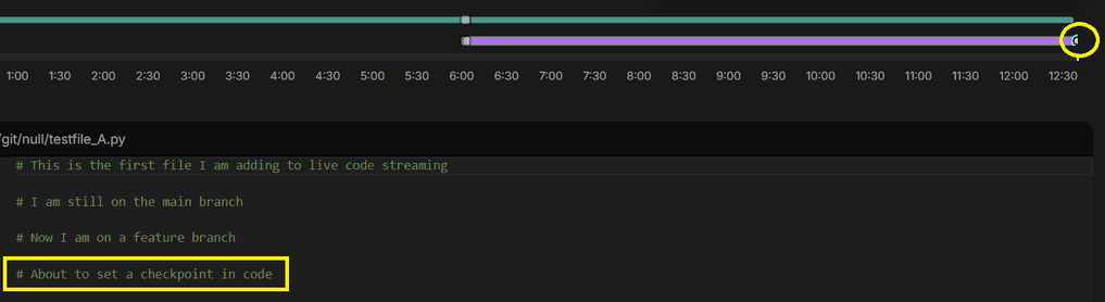 Checkpoint list and state